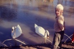 Swan Song